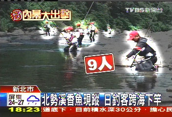 〈獨家〉坪林香魚頻勾引 日釣客攻佔北勢溪
