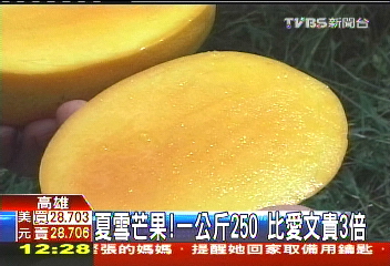 新綠金! 「蜜寶」、「夏雪」高貴登場