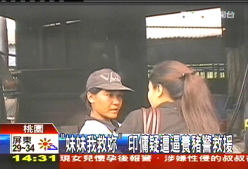 「妹妹我救妳」　印傭疑遭逼養豬警救援