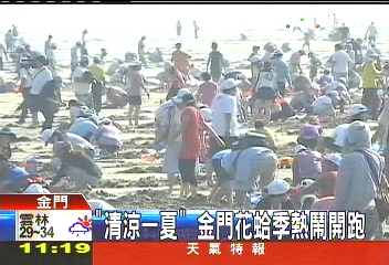 「清涼一夏」　金門花蛤季熱鬧開跑