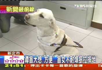 導盲犬想「方便」　盲女不耐煩狠拉摔地