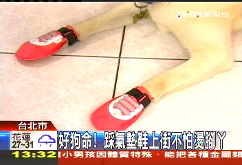 好狗命! 踩氣墊鞋上街不怕燙腳丫