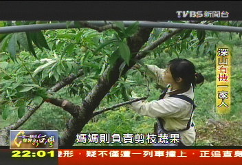 【一步一腳印】深山裡的一家人 有機路上相互扶持