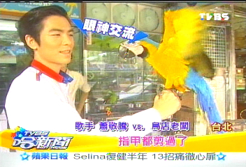 老鷹踩頭沒在怕 蕭敬騰會訓鳥?