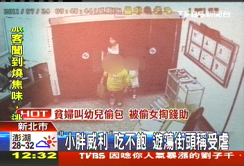 「小胖威利」吃不飽 遊蕩街頭稱受虐