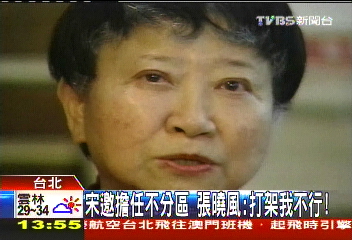 宋邀擔任不分區 張曉風:打架我不行!