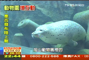 【玩遍北海道】為蛇設空中走廊 旭山動物園有一套
