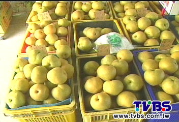 〈獨家〉被淹怕!果農搶收水梨避颱 趕分裝