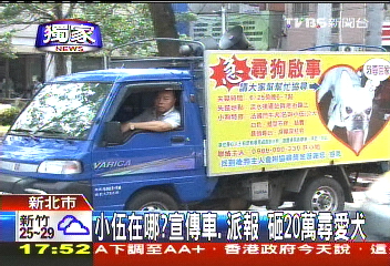 〈獨家〉小伍在哪？宣傳車、派報　砸20萬尋愛犬