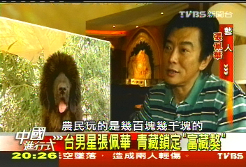 【中國進行式】忠心有價！獨家挖掘　稀有藏獒交易