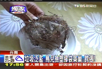 〈獨家〉垃圾氾濫!鳥兒撿塑膠袋築巢 誇張