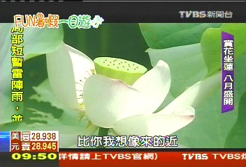 【FUN暑假一日遊】暢玩桃園花季! 「大王蓮」可乘坐成人!