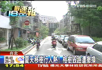 夏天移樹行人熱! 榕樹毀路遭撤換
