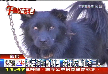 鄰居狗扯斷項圈　發狂咬傷祖孫3人