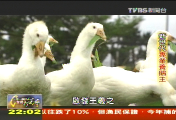 【一步一腳印】當新世代農民 雲林的高科技鵝王