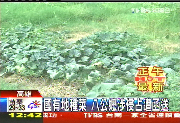 國有地種菜　8公嬤涉侵占遭函送