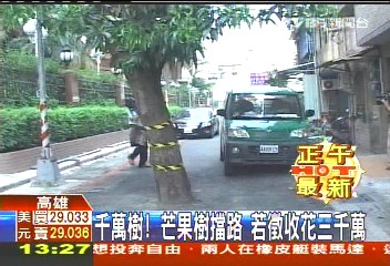 千萬樹！芒果樹擋路　若徵收花3千萬