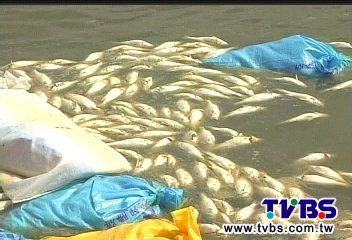 漁塭被偷剪電纜魚死光　1月30次業者怒