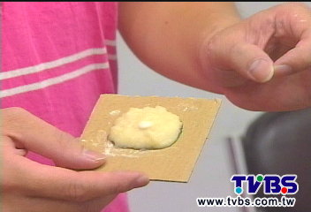 洋蔥薯泥寶特瓶 克蟑滅蚊DIY搞定