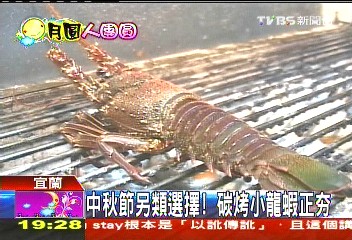 中秋節另類選擇！　碳烤小龍蝦正夯