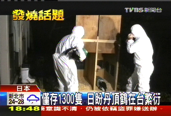 日國寶丹頂鶴 小心翼翼裝箱來台