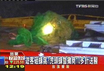 遊客砸蜂窩? 虎頭蜂螫攤商10多針送醫