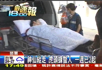 「神仙縱走」虎頭蜂螫人　一周已2起