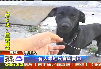 男毒打黑狗　長達3分鐘監視器全都錄