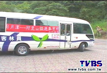 〈獨家〉公車往來明潭、阿里山 賞新中橫美景