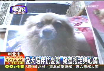 〈獨家〉愛犬陪伴抗憂鬱　疑遭抱走婦心痛