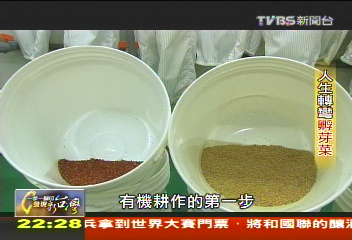 【一步一腳印】人生轉彎孵芽菜 以巧思開拓市場
