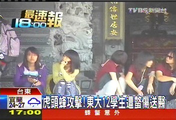 虎頭蜂攻擊！　東大12學生遭螫傷送醫