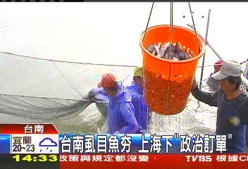 台南虱目魚夯　上海下「政治訂單」