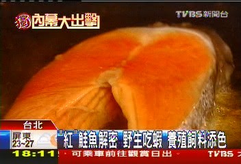 〈獨家〉養殖鮭白肉變紅 飼料加色滿足「印象」