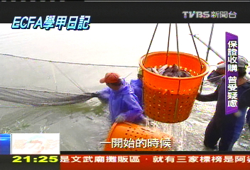 ECFA效應!陸官方助 錢進小鎮