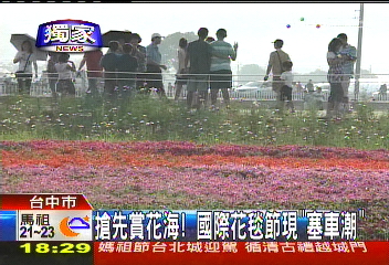 〈獨家〉搶先賞花海! 國際花毯節現「塞車潮」