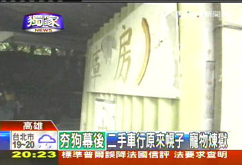 〈獨家〉非法繁殖賺暴利 2坪鐵皮屋養20隻狗