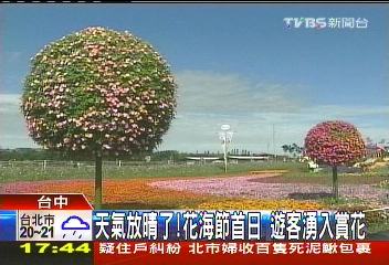 天氣放晴了!花海節首日 遊客湧入賞花