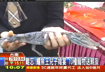 難忘!鱷魚王兒子婚宴 10種寵物送親友