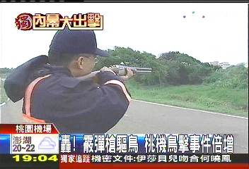 〈獨家〉轟!霰彈槍驅鳥 桃機鳥擊事件倍增