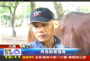 校慶園遊會公然虐馬？　馬主人喊冤