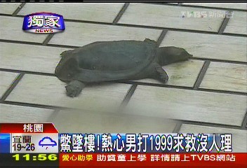 〈獨家〉鱉墜樓! 熱心男打1999求救沒人理