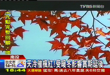 天冷催楓紅！　受暖冬影響賞期延後