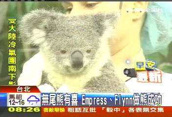 無尾熊有喜 Empress、Flynn做熊成功