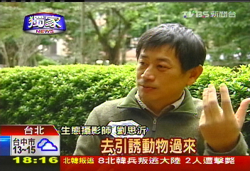〈獨家〉拍「弱肉強食」造假? 專家:只能算設計安排