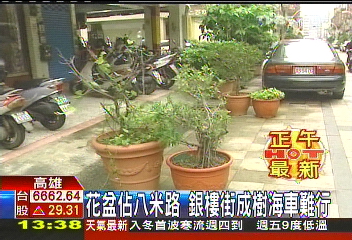 〈獨家〉花盆佔8米路 銀樓街成樹海車難行