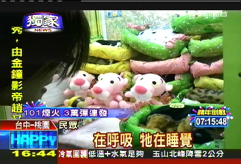 〈獨家〉驚！會呼吸的狗　趴睡在夾娃娃機裡