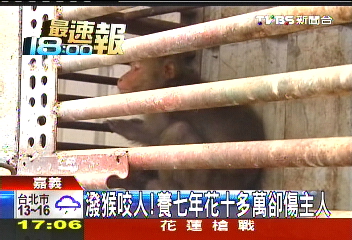 潑猴咬人！　養7年花10多萬卻傷主人
