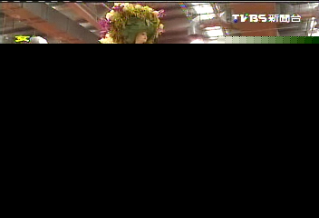 花慶元旦迎新年　百花「爭艷」齊盛開