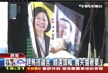 趕鳥搭雞舍 競選旗幟農夫搶著要!